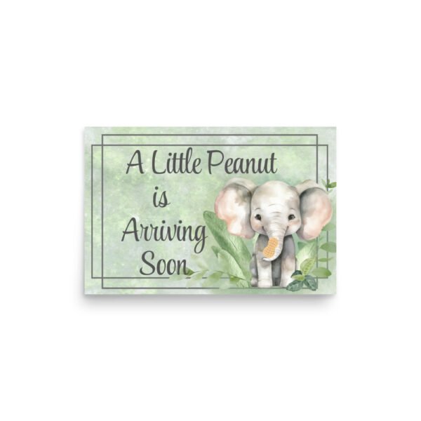 Little Peanut Baby Shower Poster - Image 2