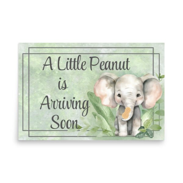 Little Peanut Baby Shower Poster