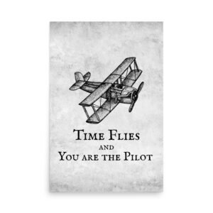 Time Flies Poster
