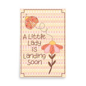 Little Lady Baby Shower Poster